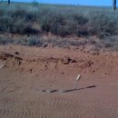 주천강자연휴양림 이미지