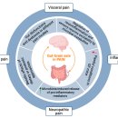 Gut dysbiosis와 만성통증의 관계 최신논문 !! 이미지