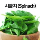 세계슈퍼