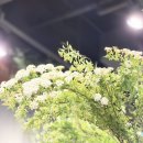 사라스가든 | 용산 꽃집 사라스가든 어버이날 카네이션 선물추천