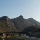 감자바위 이미지