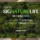 대덕실당 이미지