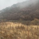 무주펜션 옐로스톤 | 무주 설천면 대가족여행때 가기좋은 풀빌라 옐로스톤 리얼후기