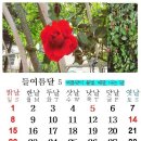 마루 이미지
