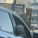 마장동고기집마전점 이미지