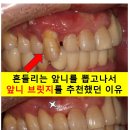 백플란트치과의원 이미지