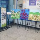 플라워핌 - 송파구 올림픽로 305 | 플라워핌