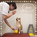 바우스쿨 이미지