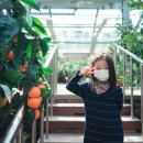 서귀포감귤박물관 이미지