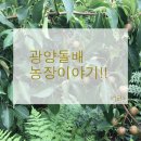 백운산건강원 - 달서구 구마로52안길 79 | 백운산건강원