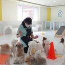 삼산유치원 이미지