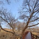 신정호국민관광지 | 겨울주말여행^^아산 신정호 지방정원 데크산책길 ,신정호카페추천👍