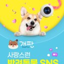 힐링나우 이미지