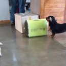 박영재 동물병원 이미지