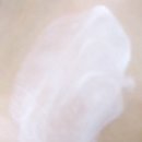컨티뉴어스 Daum카페
