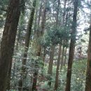 양림농장(2) 이미지