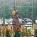 데이트로 다녀온 어르신 여가문화축제 의외로 좋아