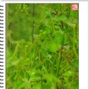 영동가구백화점 이미지