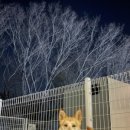 포천파리바게뜨 이미지