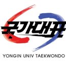 용인대 국가대표 태권도 이미지