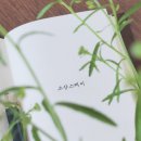 소산스테이 이미지