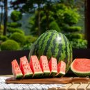 일조할인마트 | 🍉 [아자픽]수박 고를 때 이것 모르면 손해 | 고창 성내면 꿀수박 아자픽 직송 후기