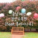 금동농장 | 충남 태안 애완동물 동반 가능한 청산수목원 (feat. 홍가시나무)
