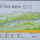 매화산 등산로(정상)