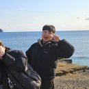 부경대학교 학생생활관(세종관) | 제주도 한 달 살이 17만 원에 다녀오는 법 | 제주대 교류 학기