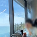 오륙도 스카이워크 | [부산 가볼만한 곳] 남구 오륙도 스카이워크 수선화 여행 후기(주차 포함)