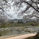 곡성축협마트 이미지