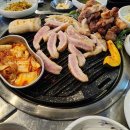 돈구어 이미지