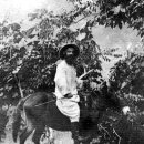 덕수2농장 이미지