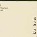 수키씨