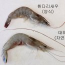 대하 이미지