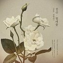 운계1구 이미지