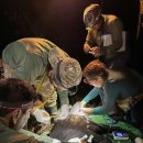 금주 세계 야생동물 사진: 겨울잠쥐 검진, 행운의 물총새, 환호하는 새끼 물범 이미지