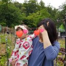 삼각산농장 이미지