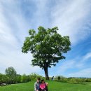 워크셥 여수및 순천만 국가 정원 박람회 공원 이미지