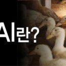 항균농장 이미지