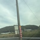 대명농원 - 서천군 신성로 506 | [홍천 맛집] 홍천 백숙, 비발드파크 주변 맛집 '참소나무농원' 솔직후기