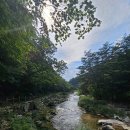 (주)대한유업 이미지