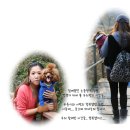 개울건너 펜션 이미지