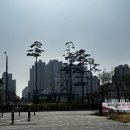 선부광장로 | 안산 태닝샵 추천 몰디브태닝 안산선부점 화이트태닝 솔직후기