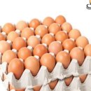 안일농장 이미지