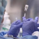 중보들B 이미지