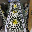 천지컴퍼니 이미지