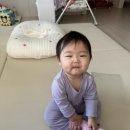 과일쟁이 | [하윤일기] 생후 10개월 하윤이의 일기❤️