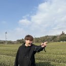 주*회