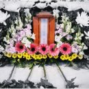 동안산병원 이미지